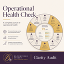 Clarity Audit